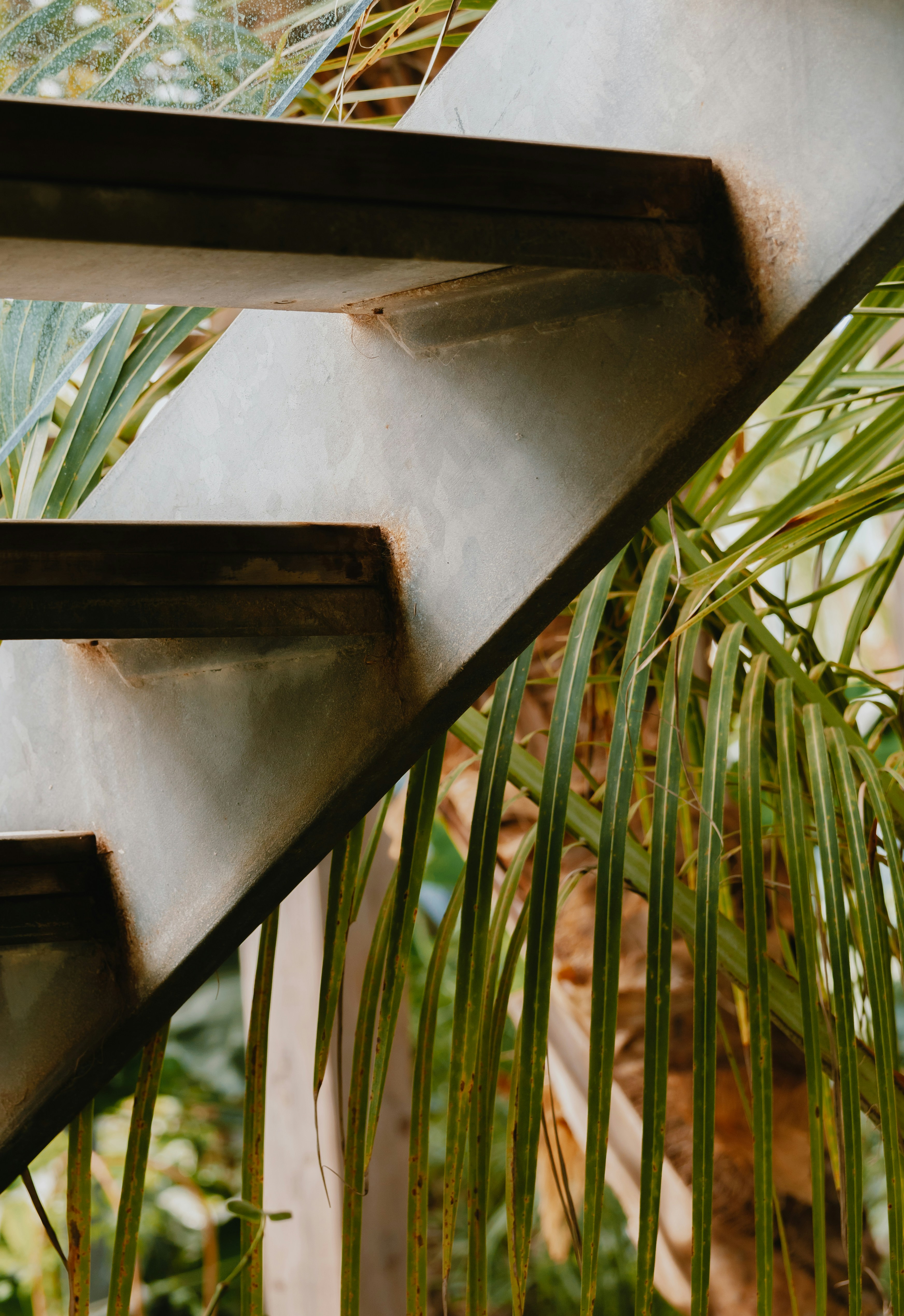 Photo by janwalterluigi