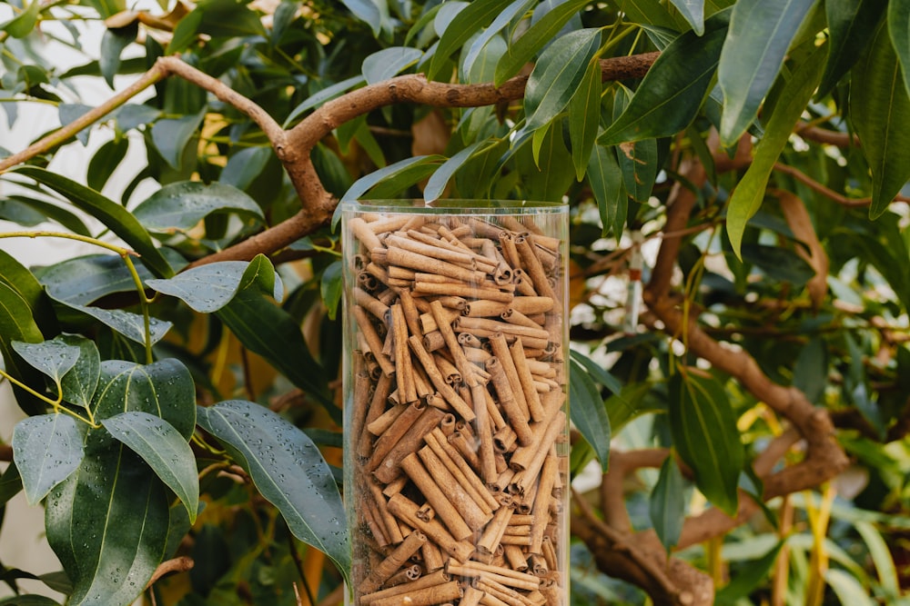 a glass jar filled with lots of sticks