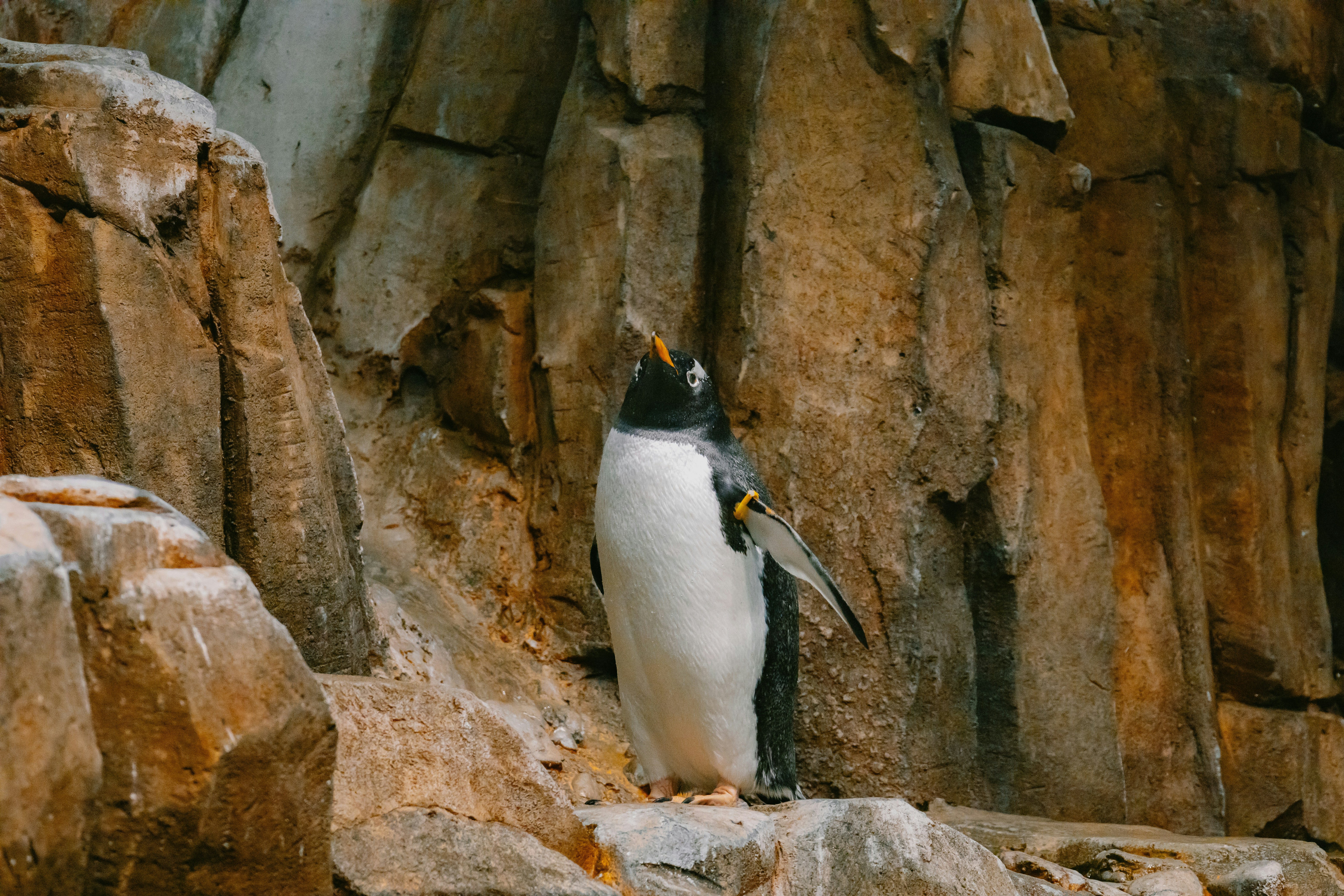 Photo by janwalterluigi