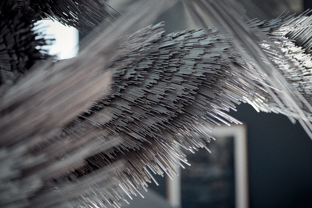 a close up of a palm tree with a mirror in the background