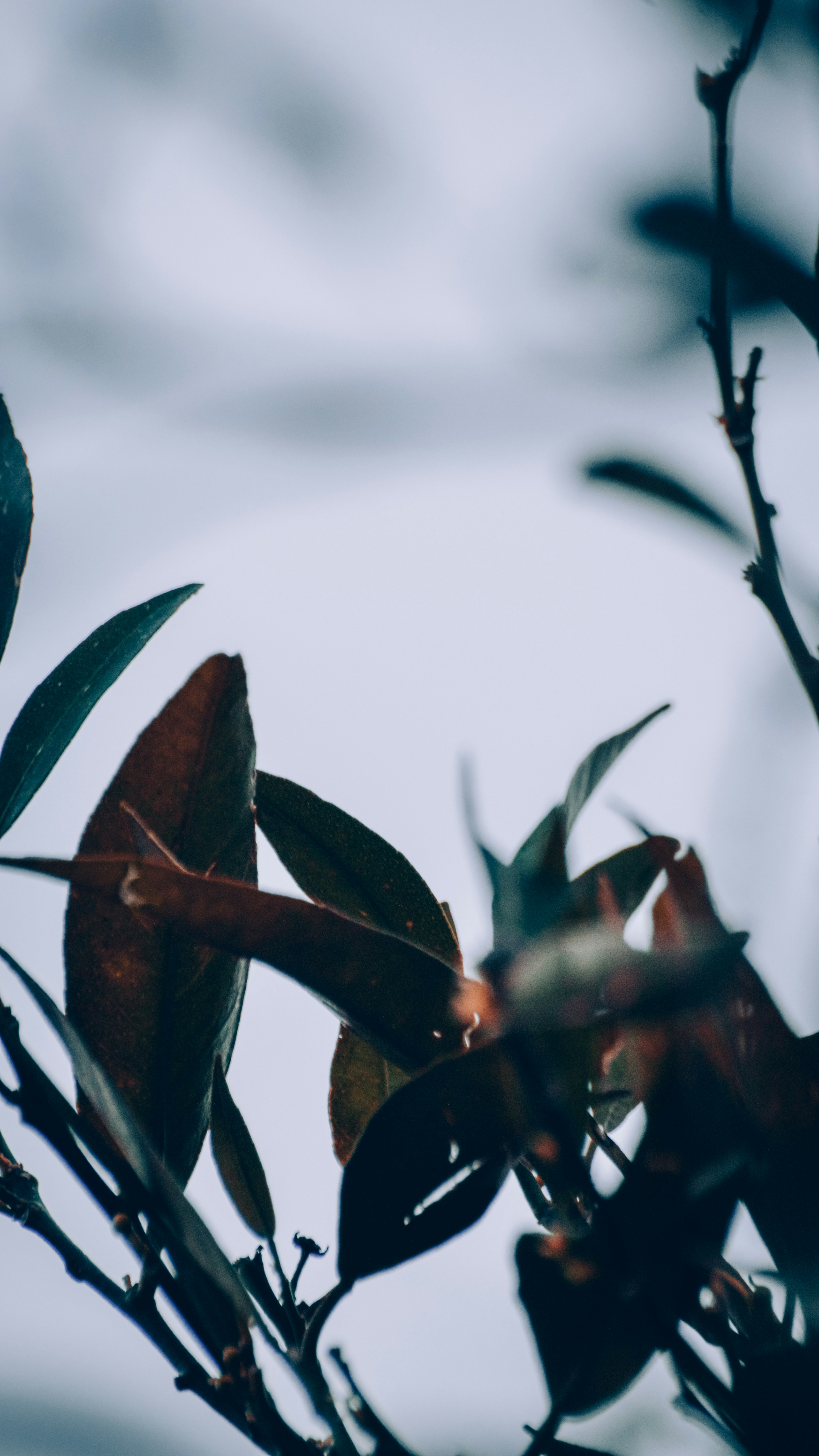 Photo by saidyigitcamlica