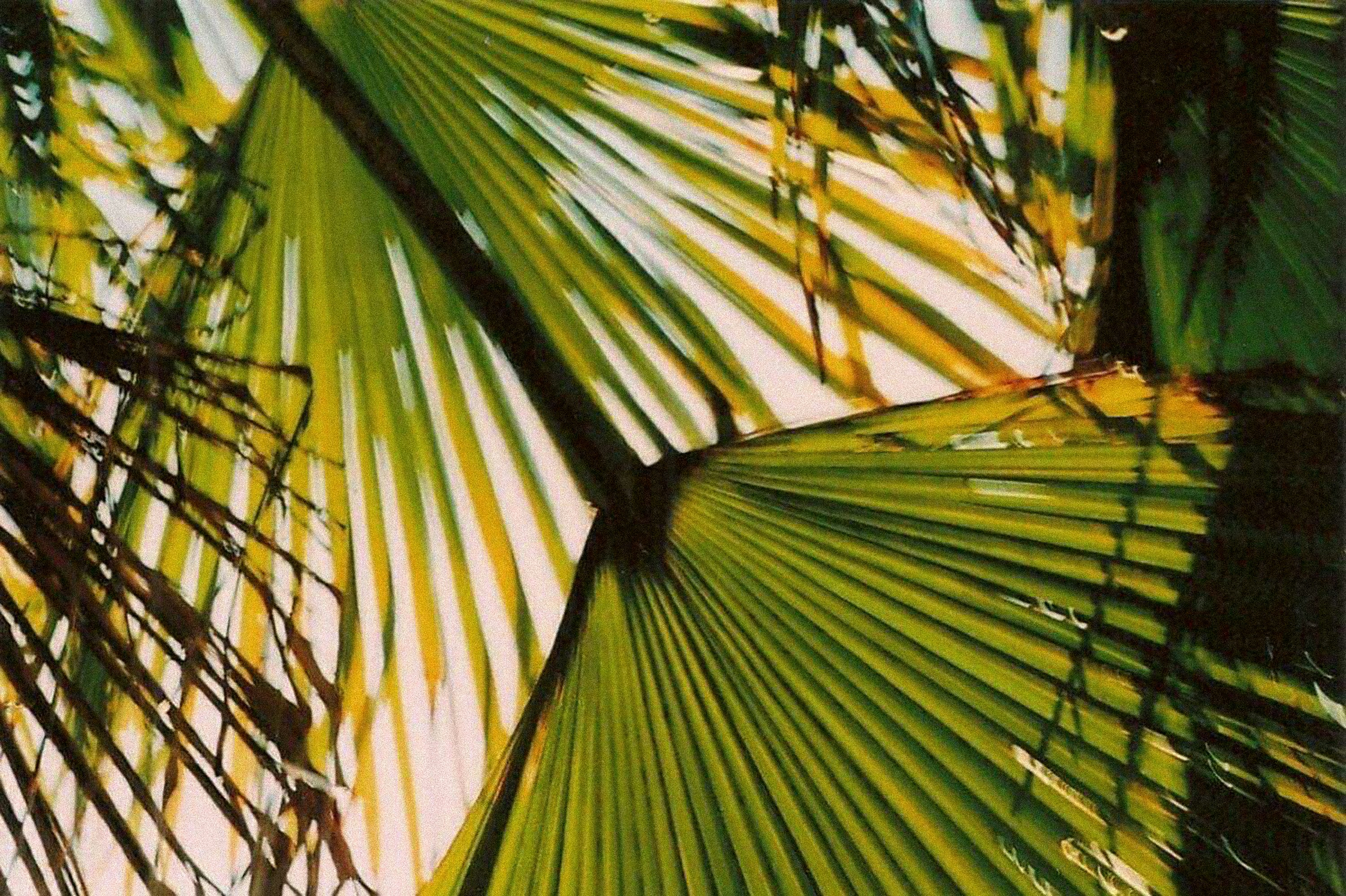 Photo by cindybartillon