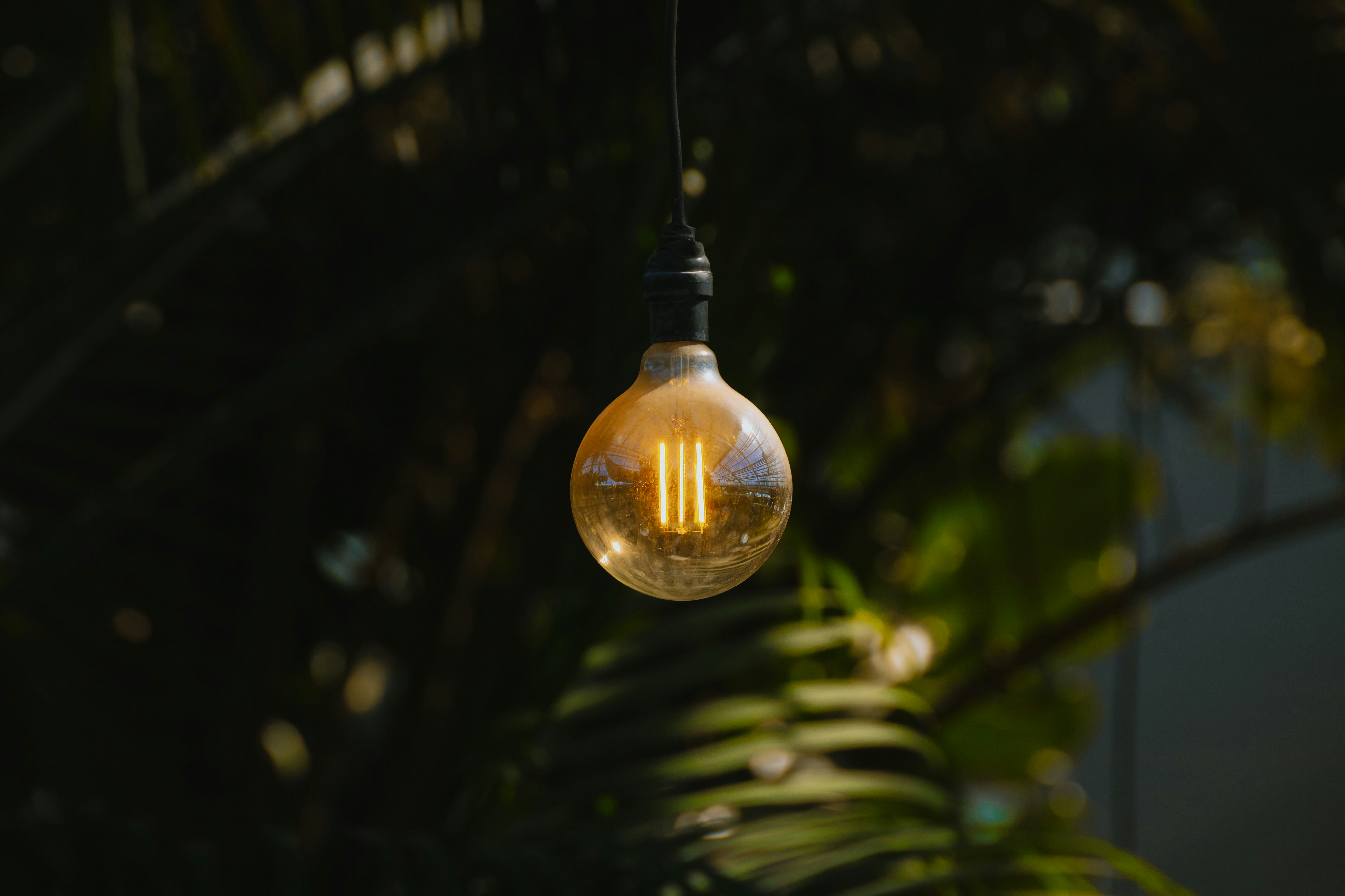 Photo by janwalterluigi