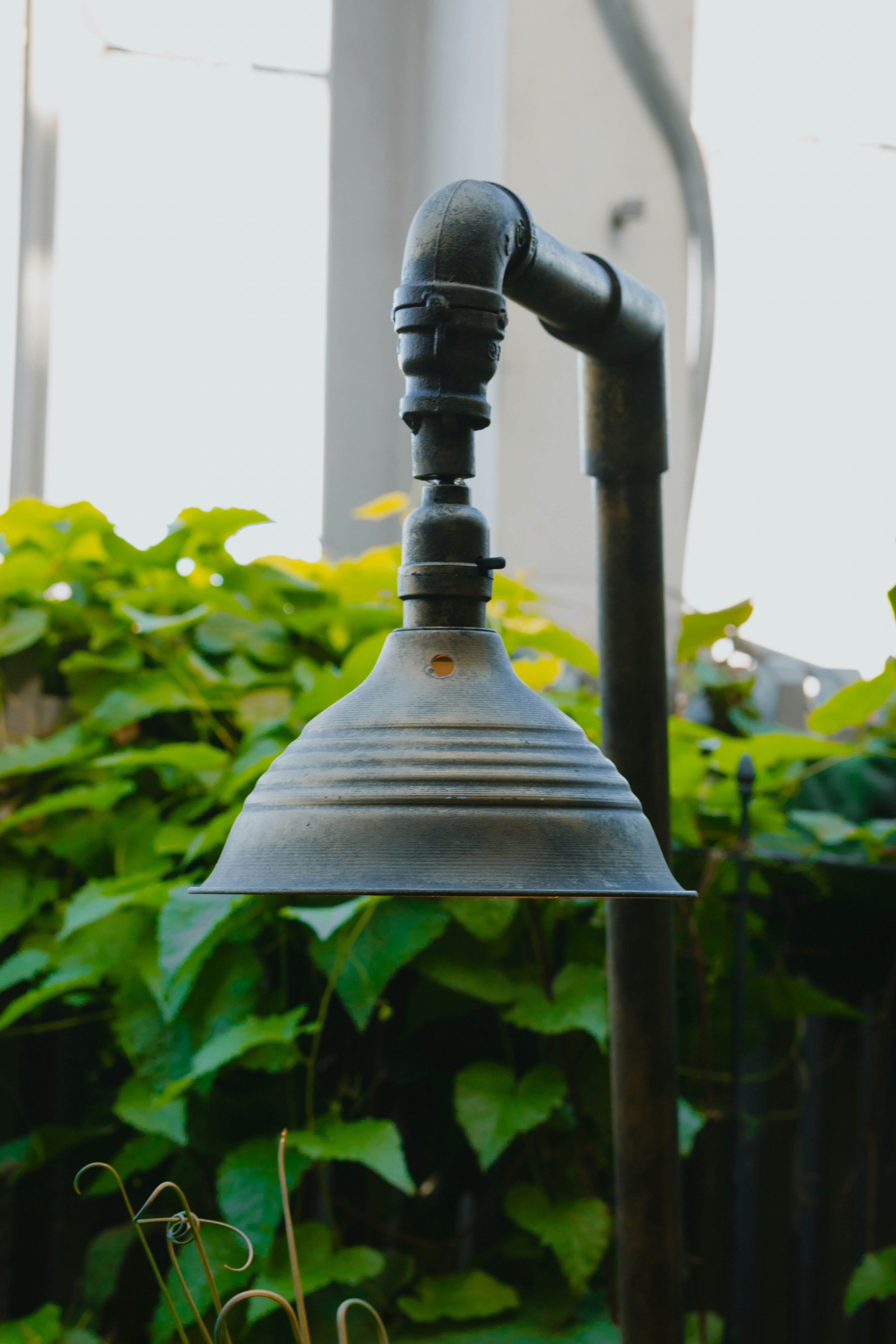 Photo by janwalterluigi