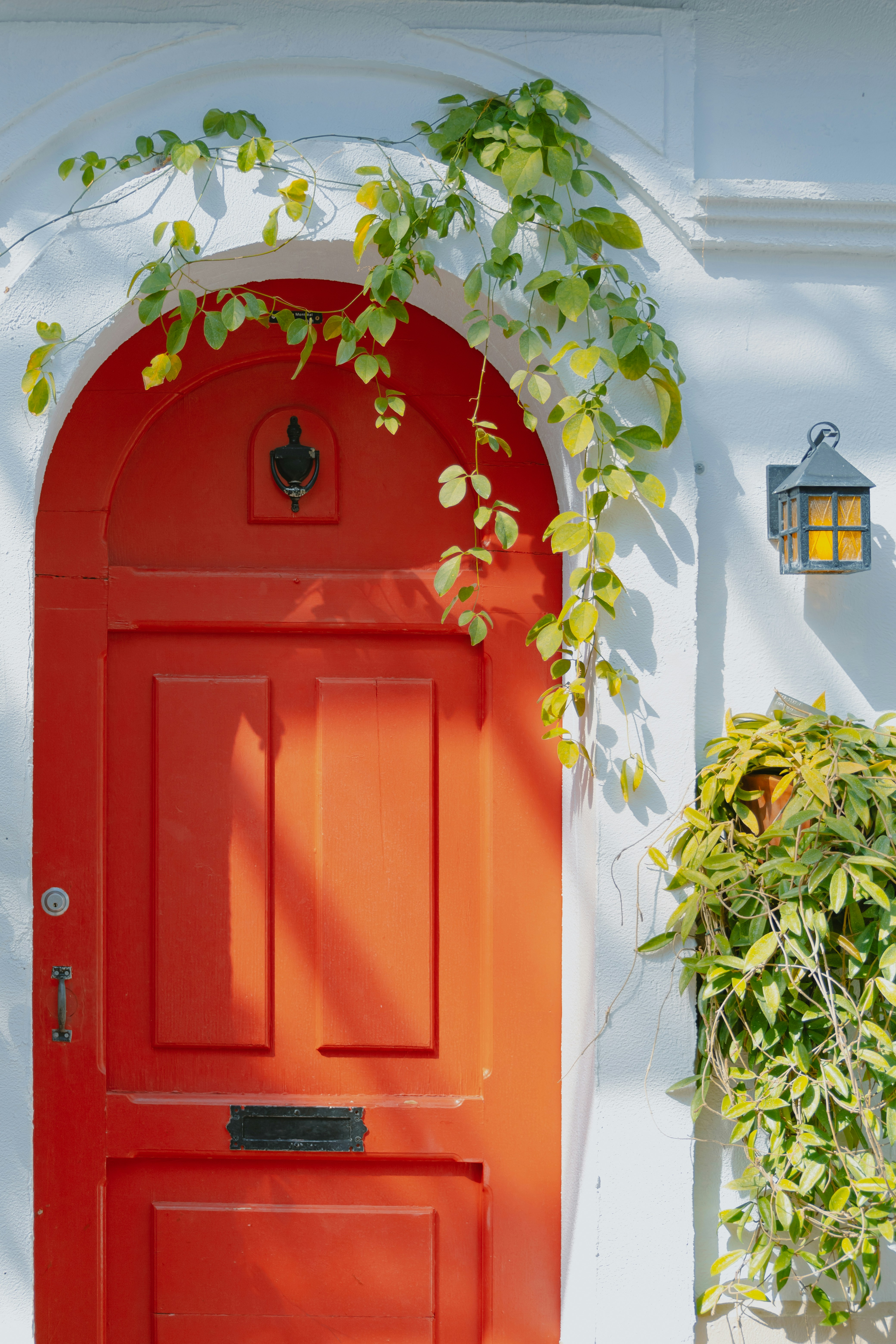 Photo by janwalterluigi