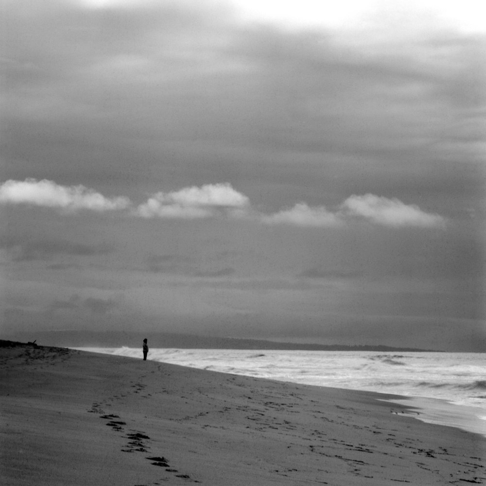 a person standing on a beach next to the ocean