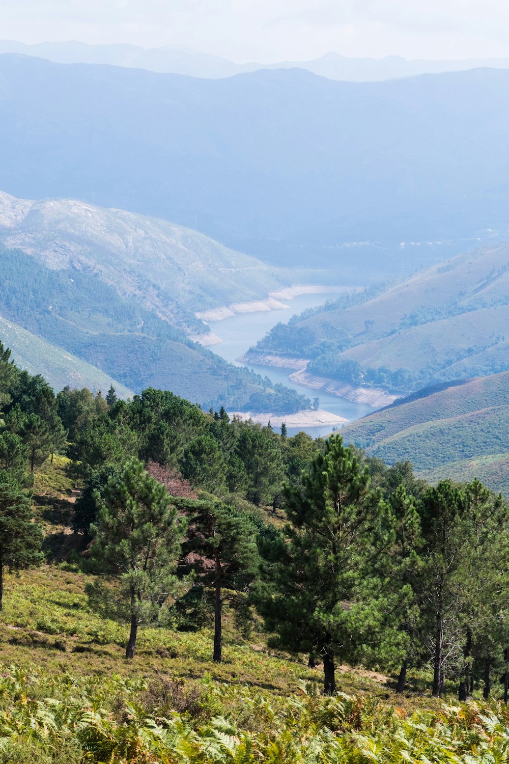 a view of a valley with mountains in the background