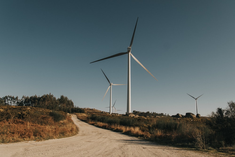 a dirt road with a bunch of windmills in the background