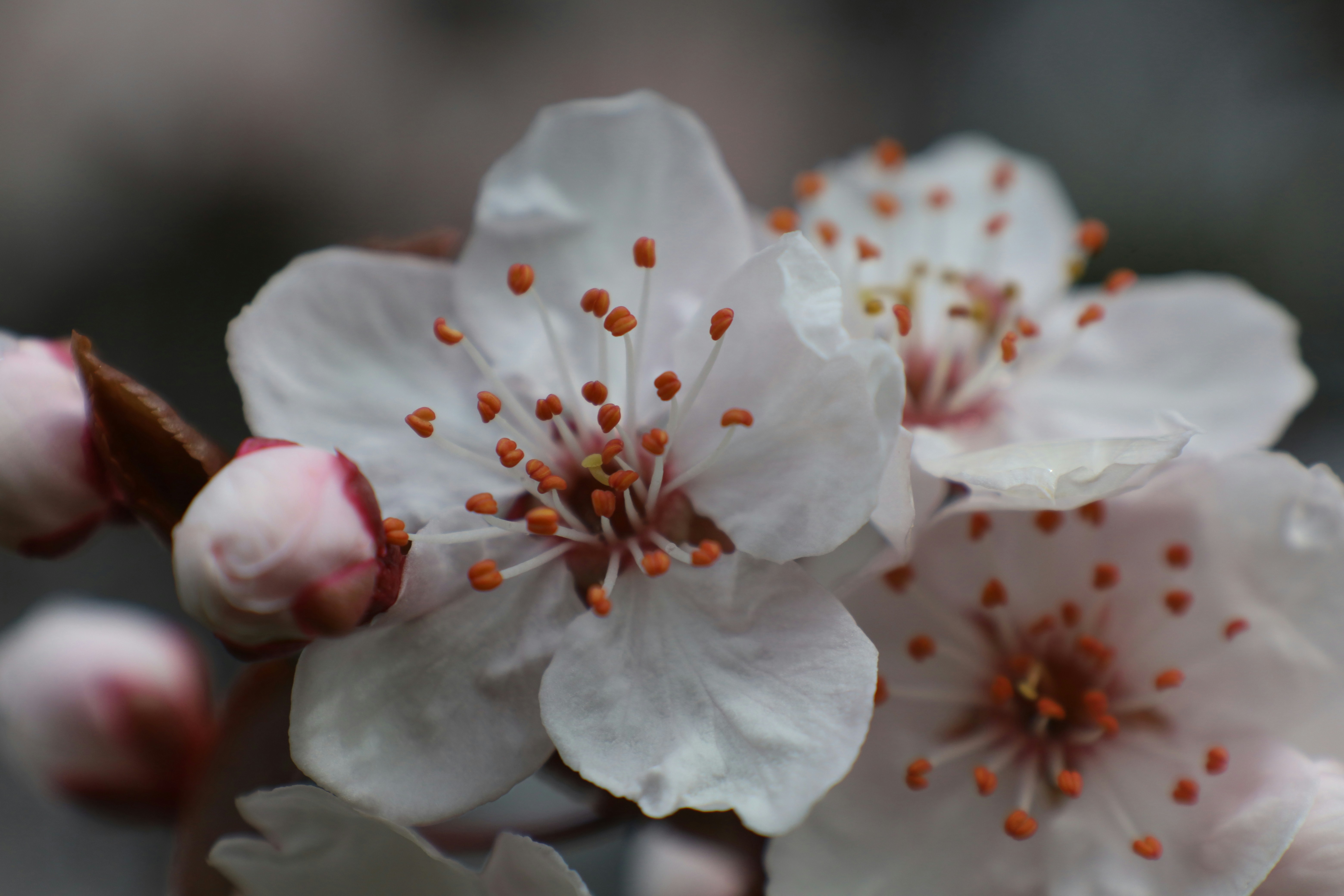 Photo by junior_hector