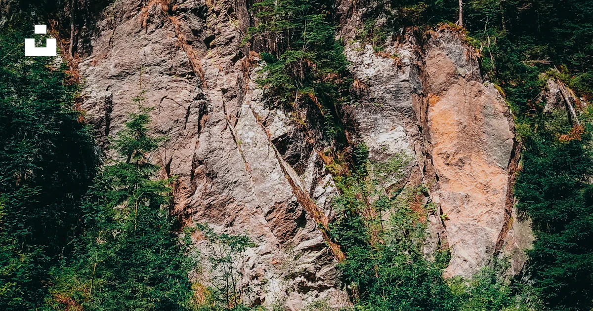 Gran Roca Una gran roca con árboles encima foto – Imagen de Rumania gratuita en ...