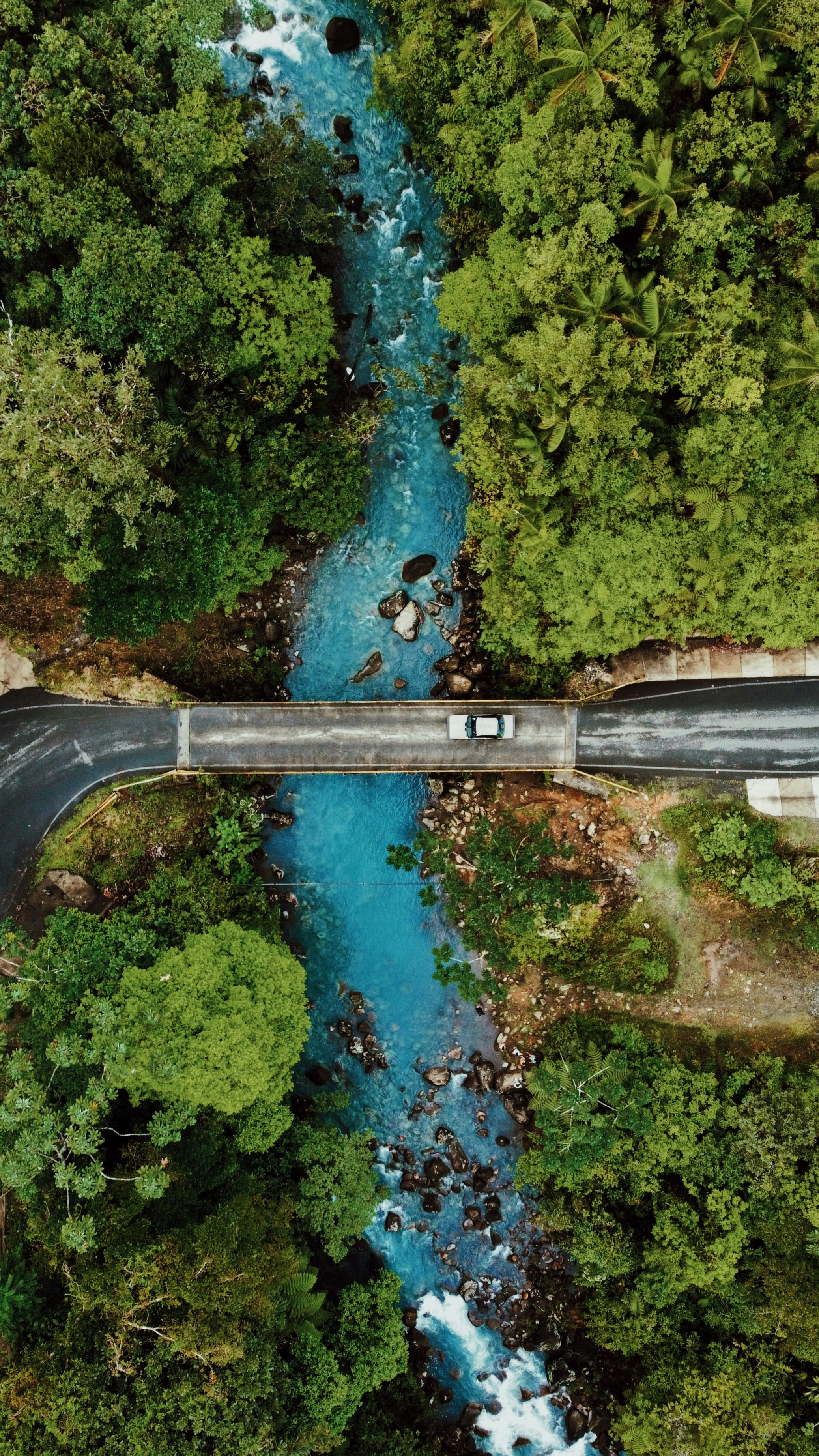 a river running through a lush green forest
