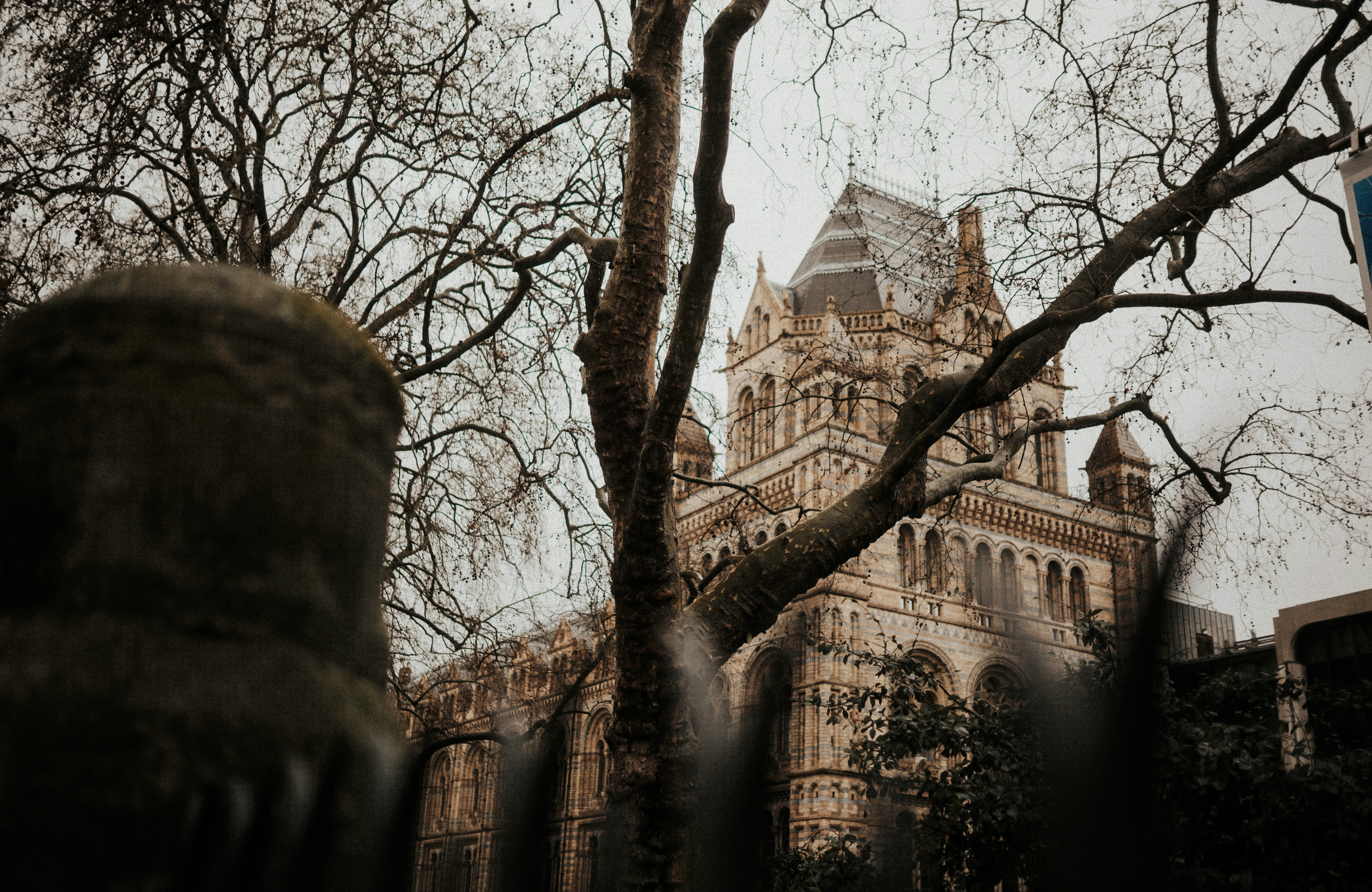 Photo by bryanbrittos