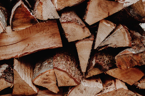 Gestapelte Holzscheite, Textur von geschnittenem Holz