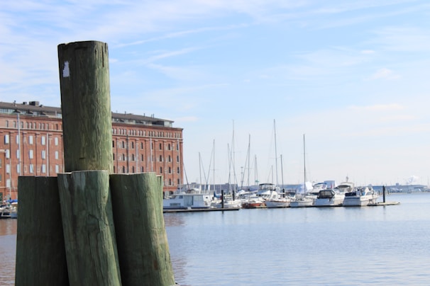 Several wooden pilings stand prominently in the foreground near a body of water. In the background, a large brick building extends along the waterfront. Numerous boats and yachts are docked at the marina, with their masts reaching up into the clear blue sky. The overall setting suggests a peaceful harbor or marina scene.
