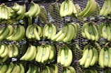 bunches of bananas are hanging on a rack