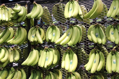 bunches of bananas are hanging on a rack