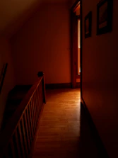 An agent guiding a couple through a bright, sunlit home during a walk-through.