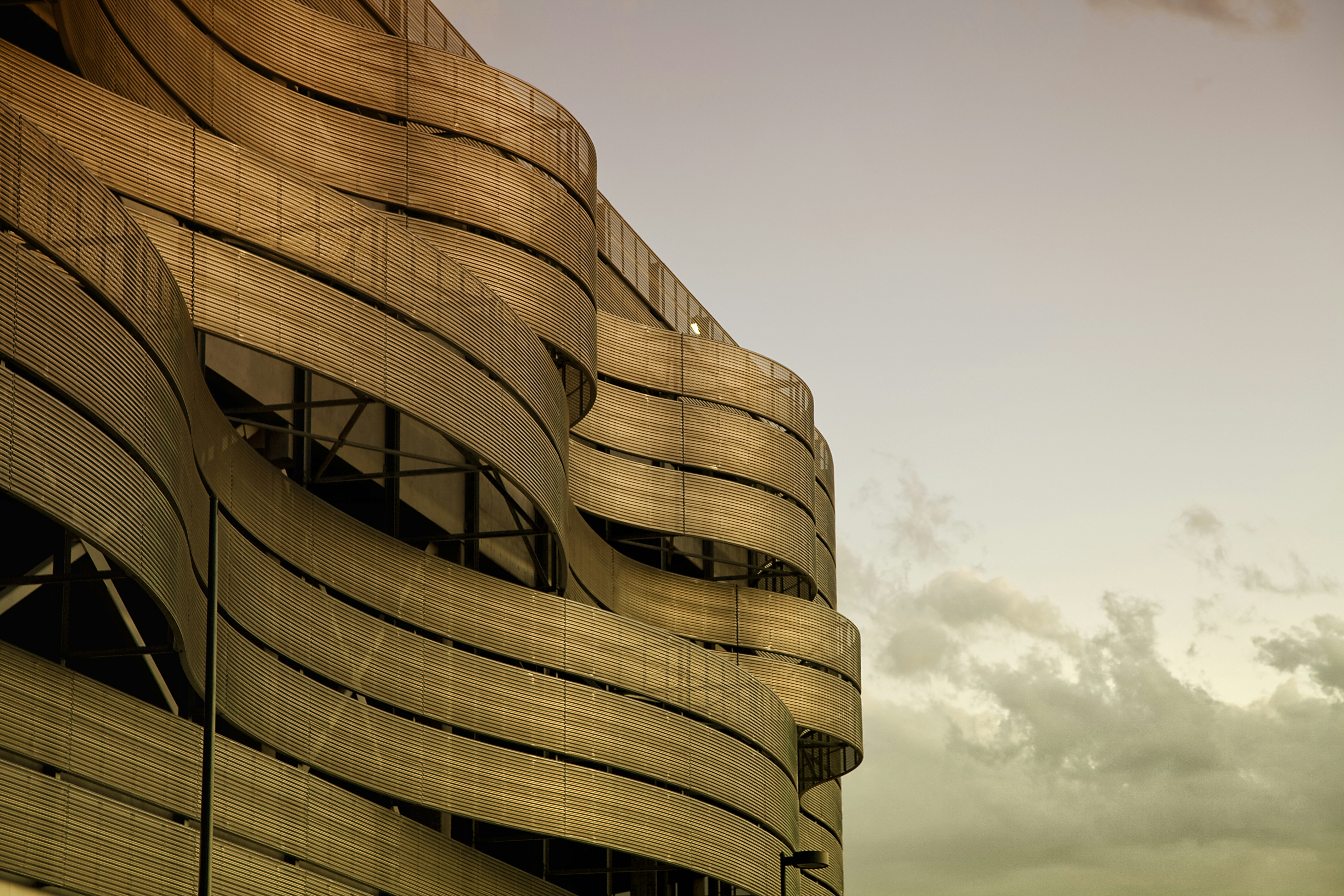 Photo by blind_rhino_media