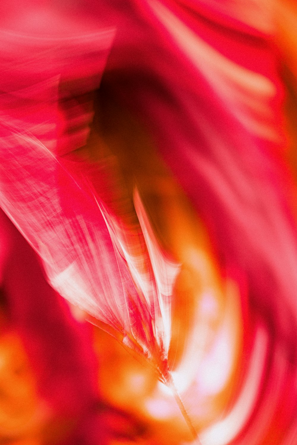 a close up of a flower with a blurry background