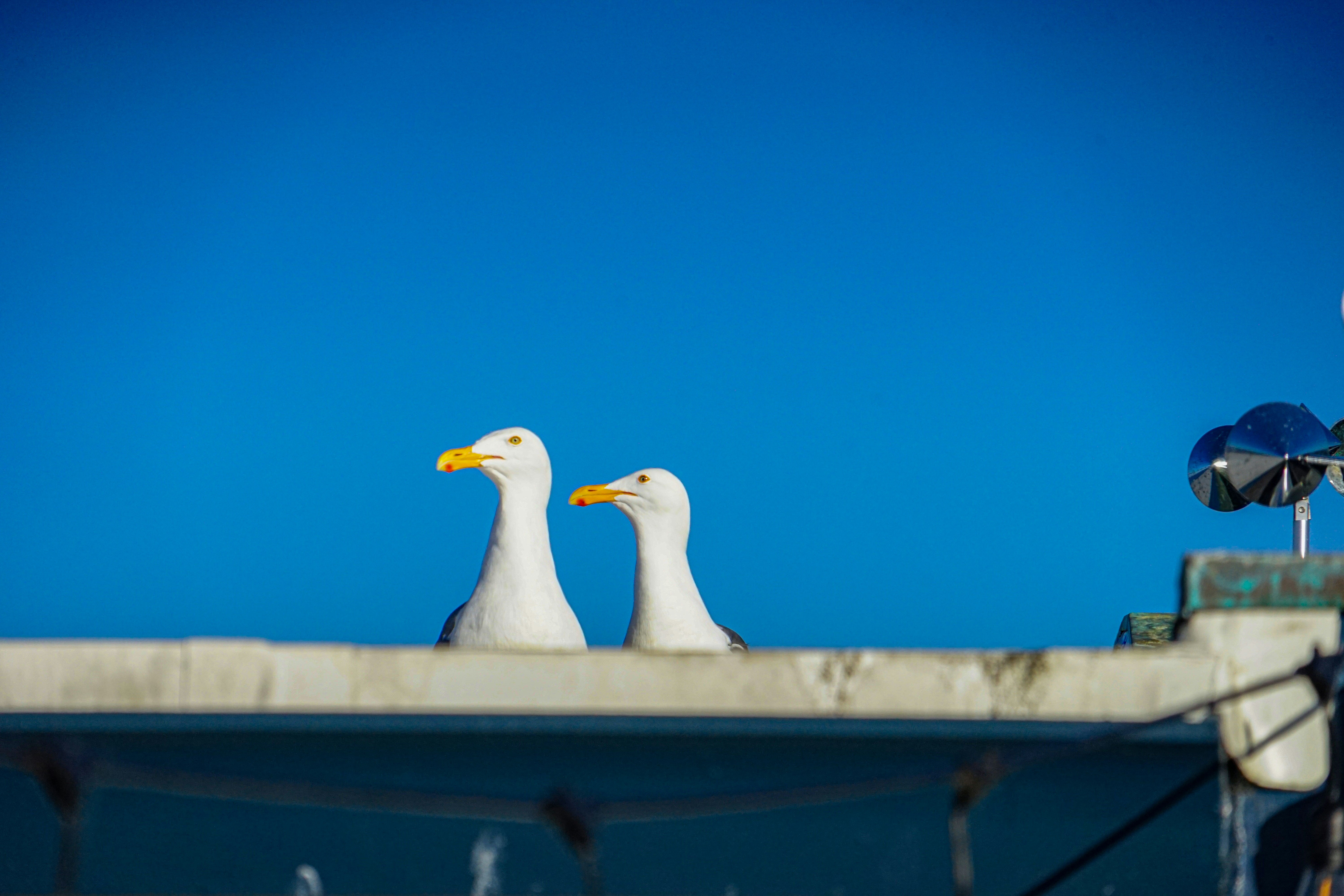 Photo by plover37