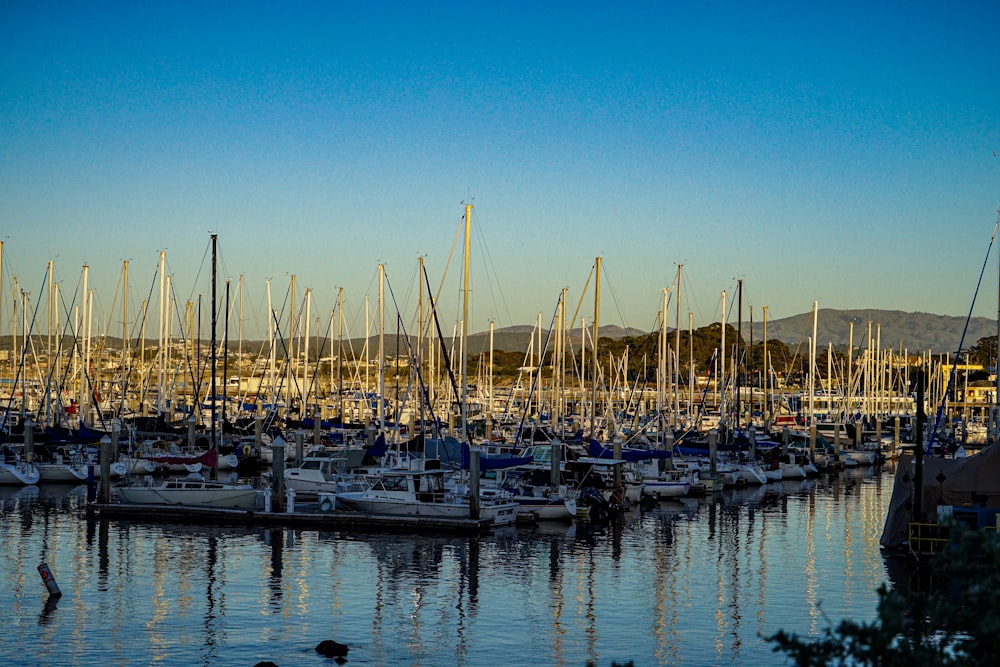 a harbor filled with lots of boats under a blue sky