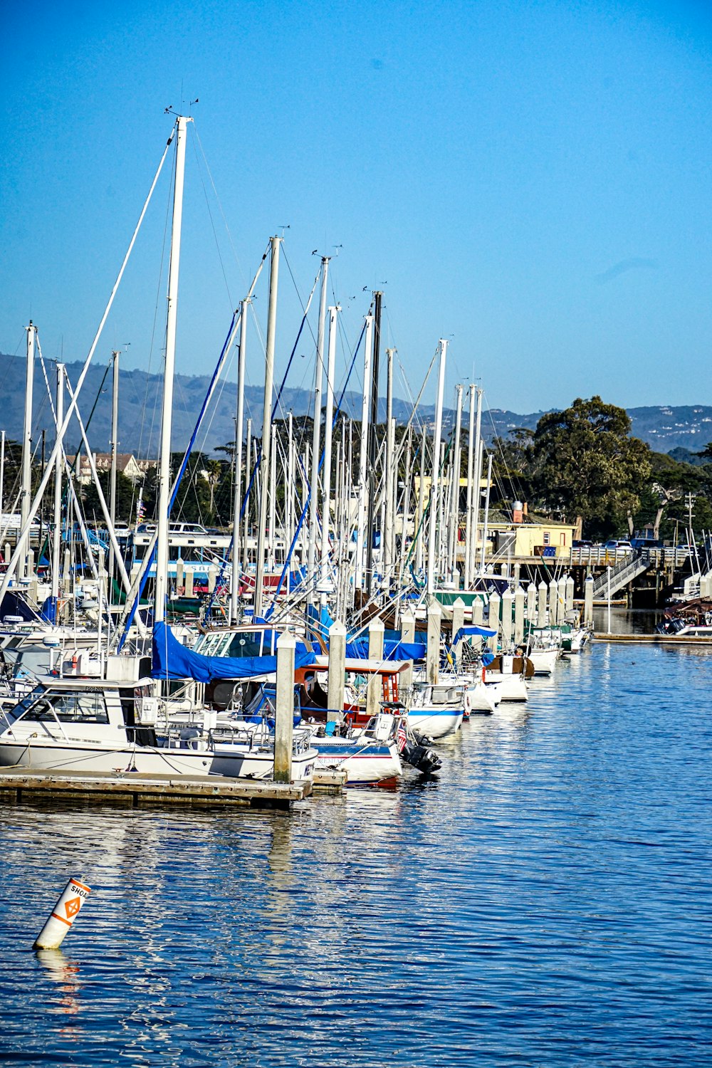 a bunch of boats that are in the water