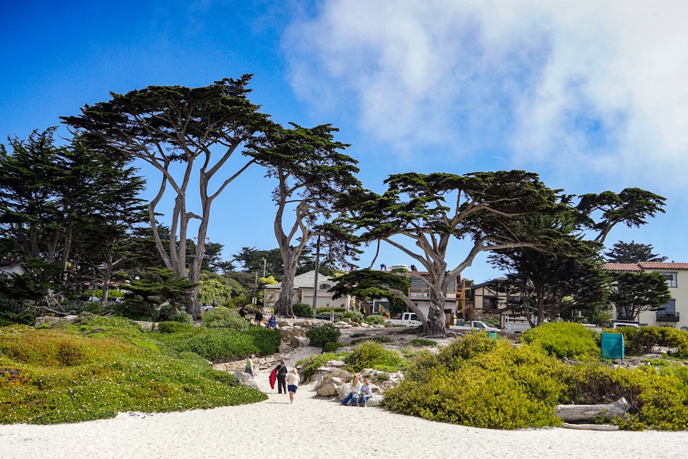 a group of people walking down a sandy path