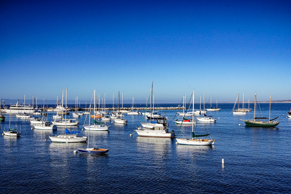 a group of boats floating on top of a body of water