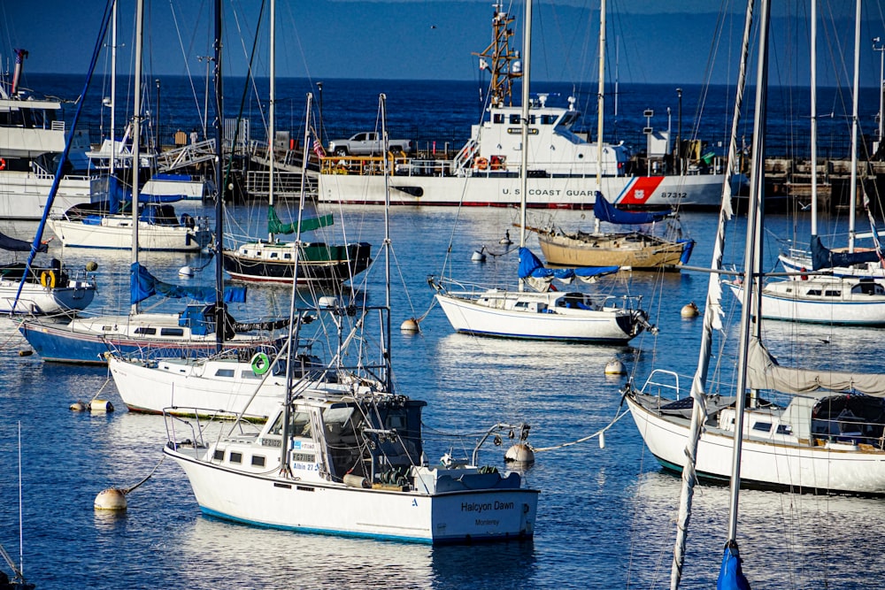 a group of boats floating on top of a body of water