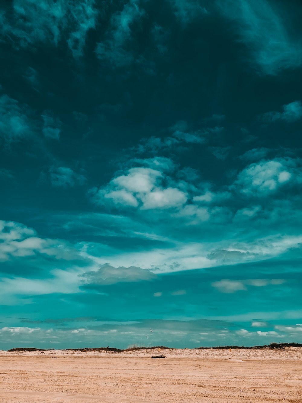 a lone horse standing in the middle of a desert