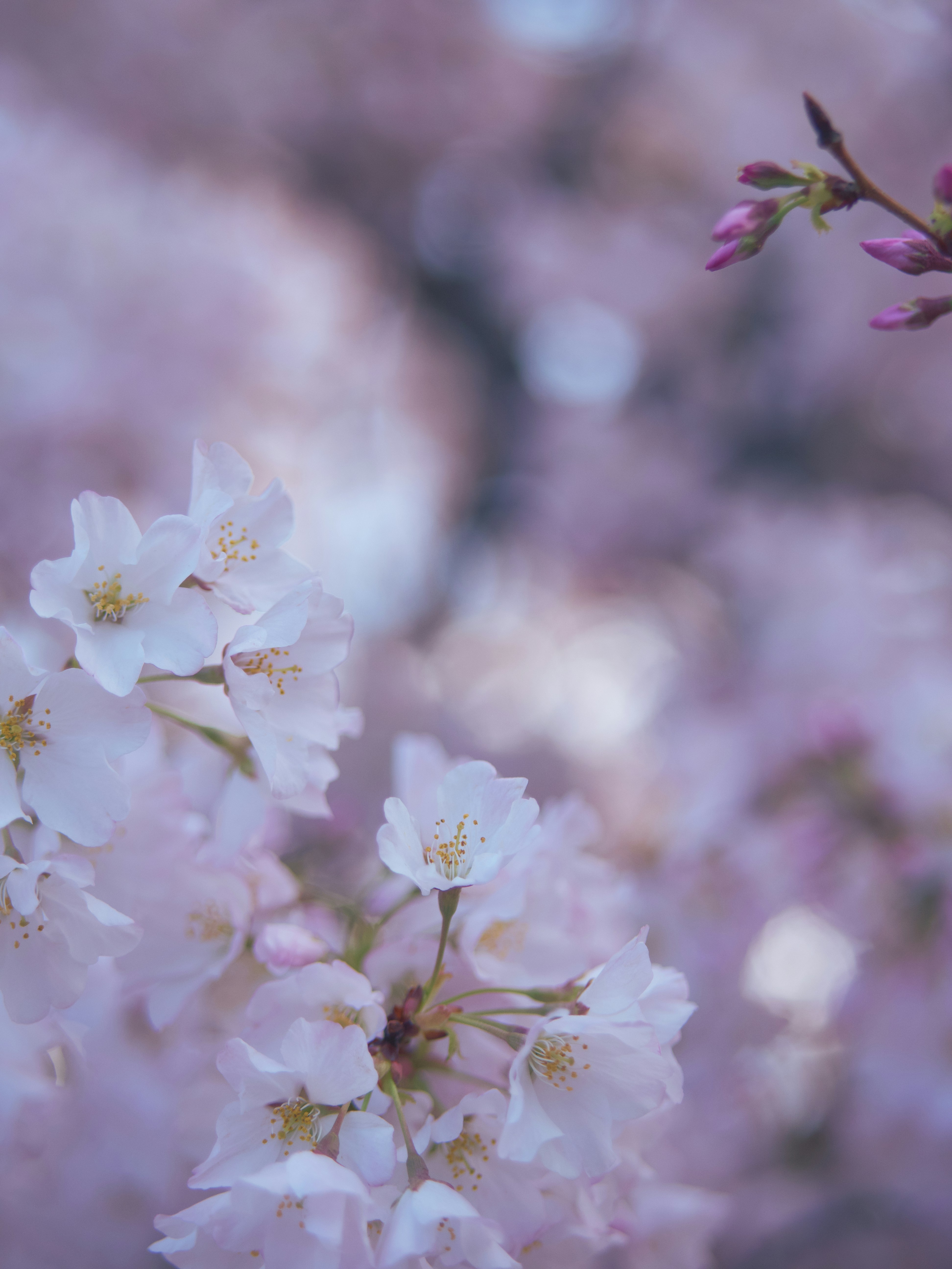 Photo by aaronburden