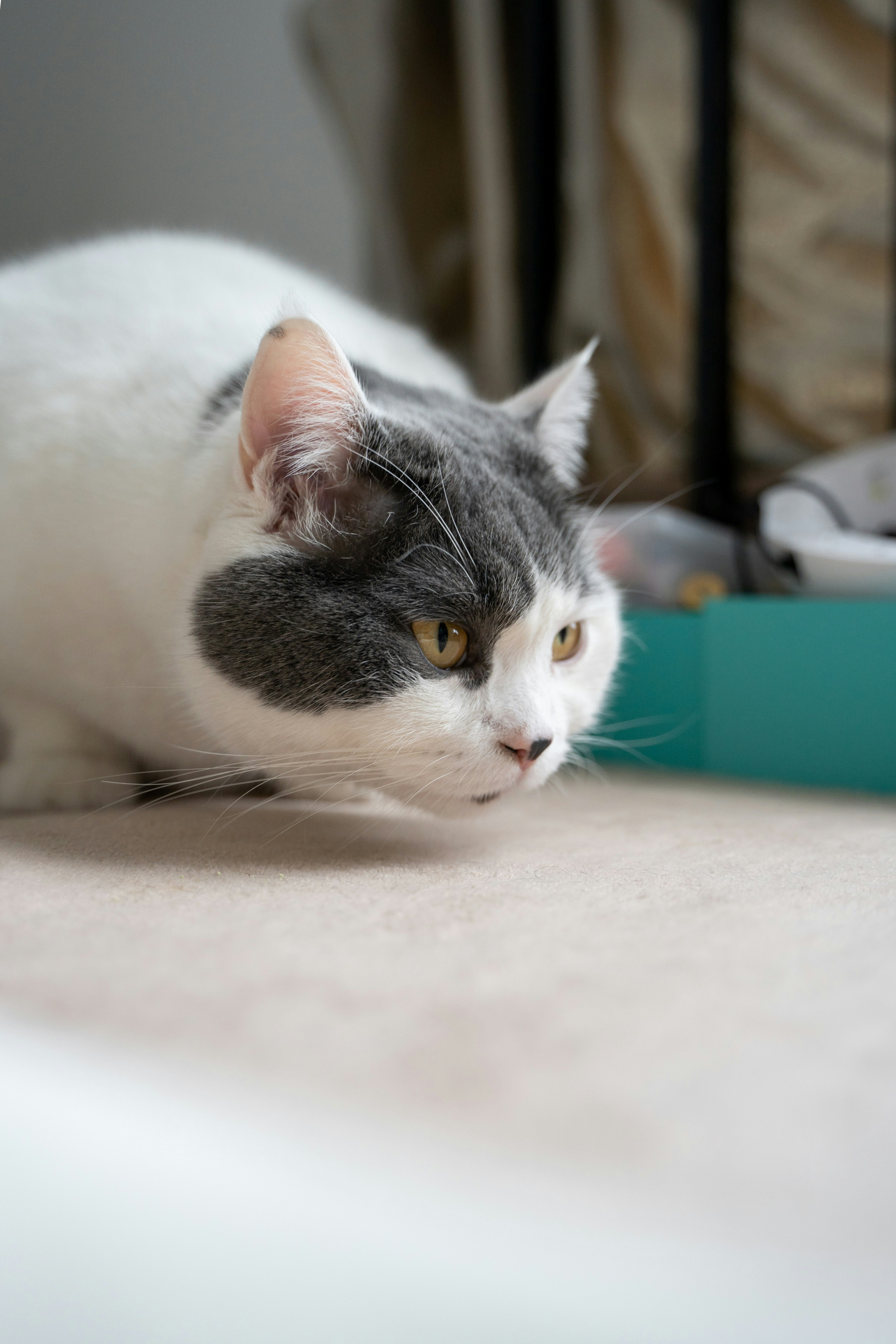 Photo by yooho962464