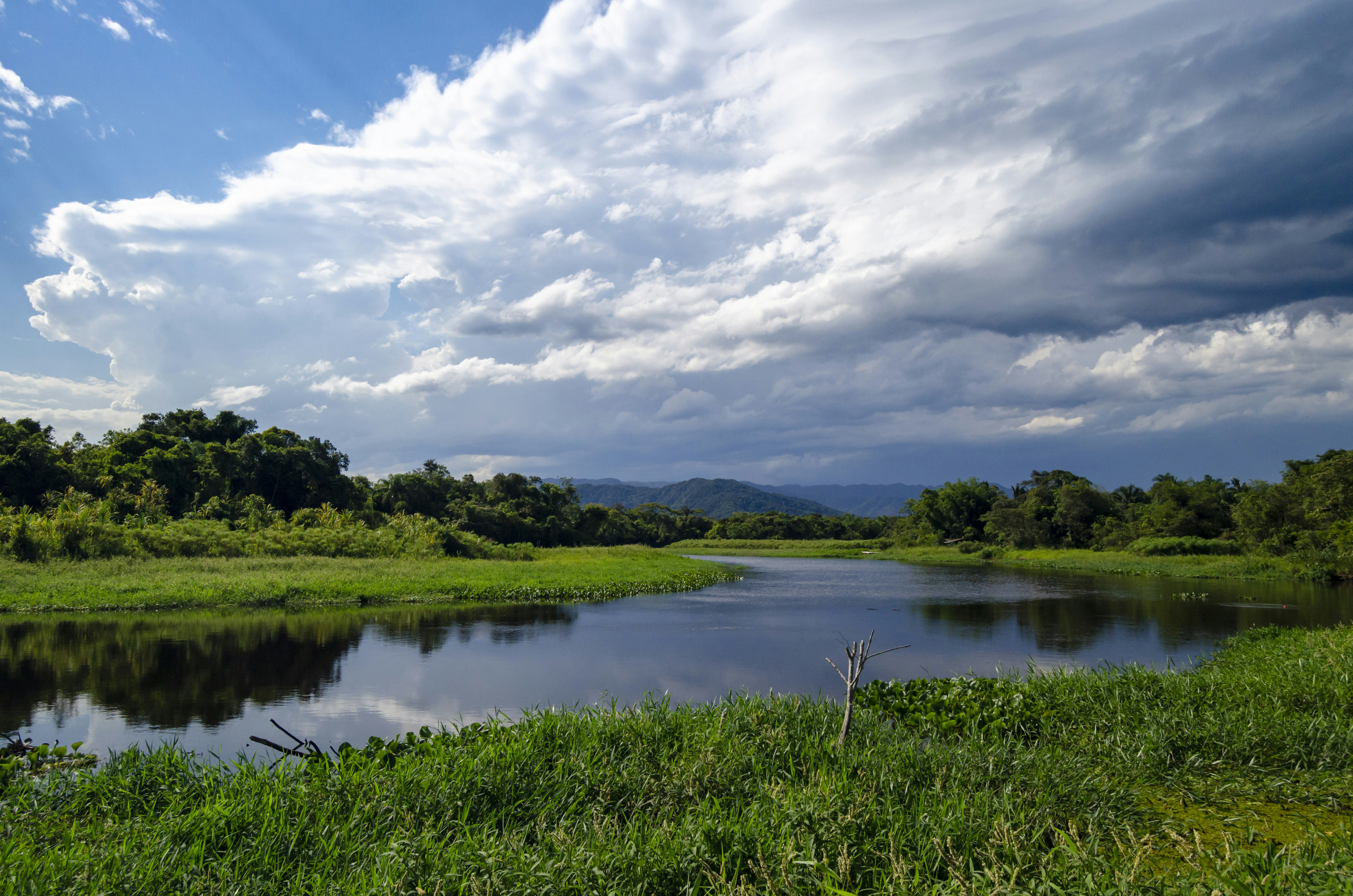 Photo by marcus_trifire