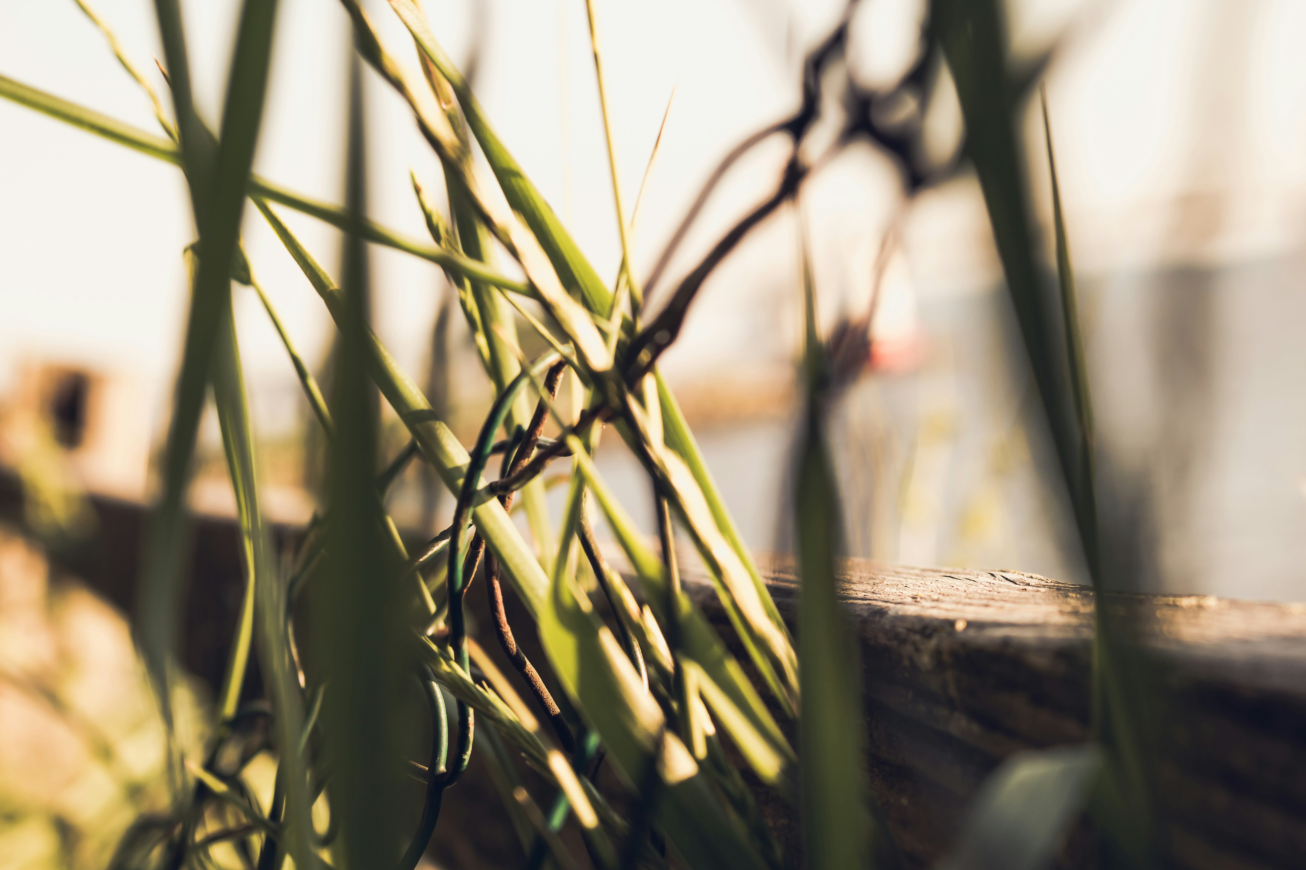 Photo by emmanuelphaeton