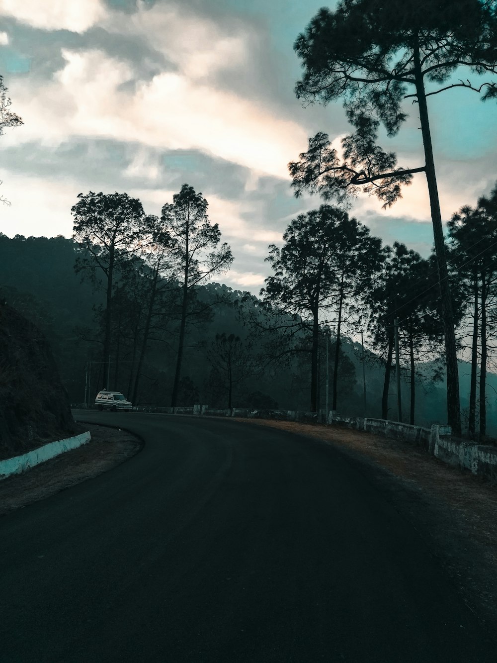 Un'auto che guida lungo una strada vicino a una foresta