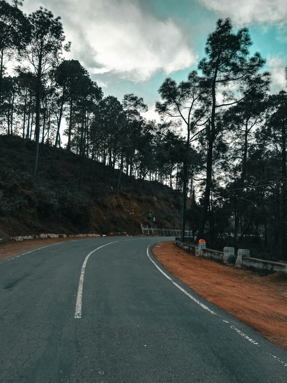 a curved road with trees on the side of it