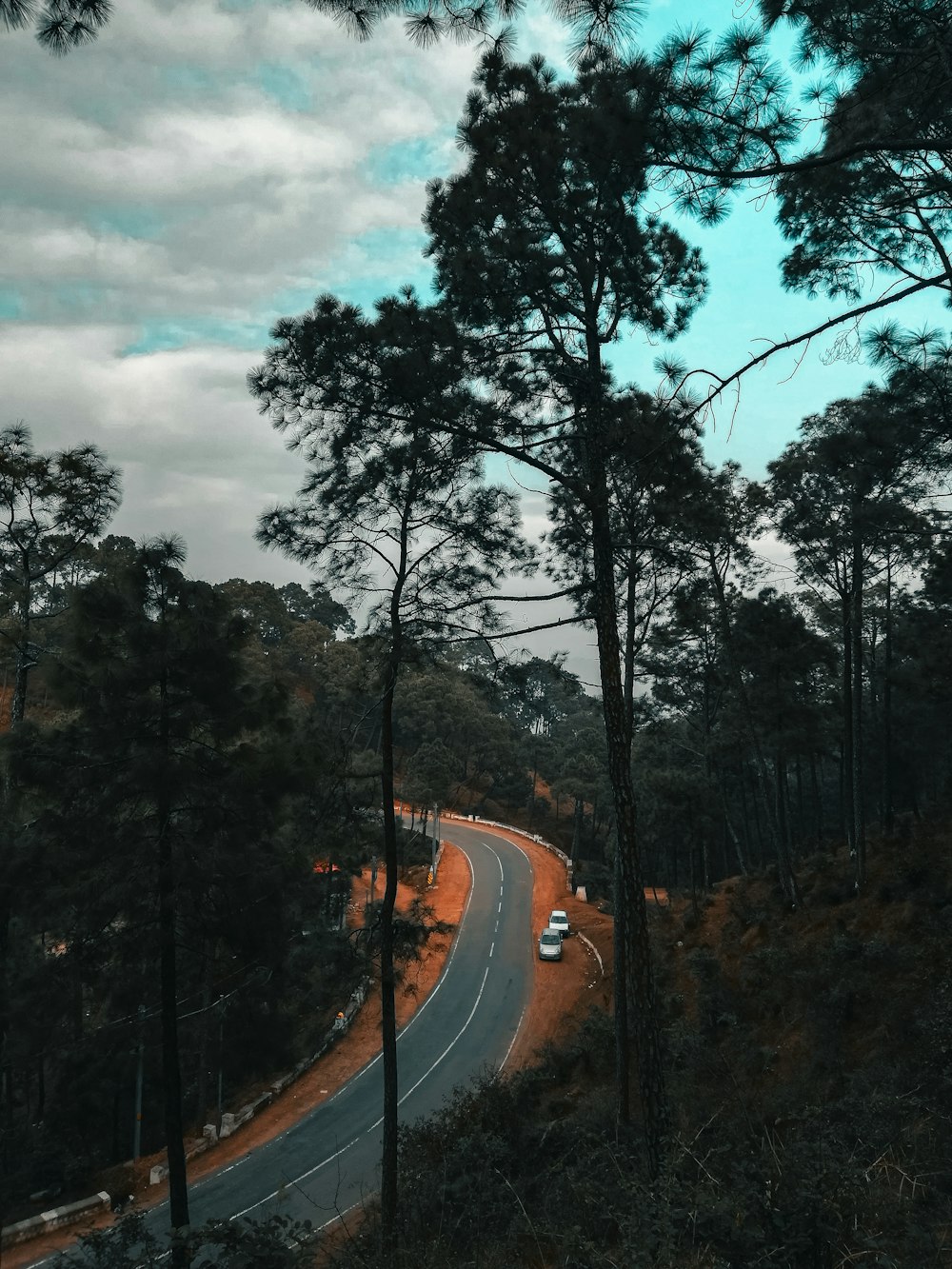 Un'auto che percorre una strada circondata da alberi