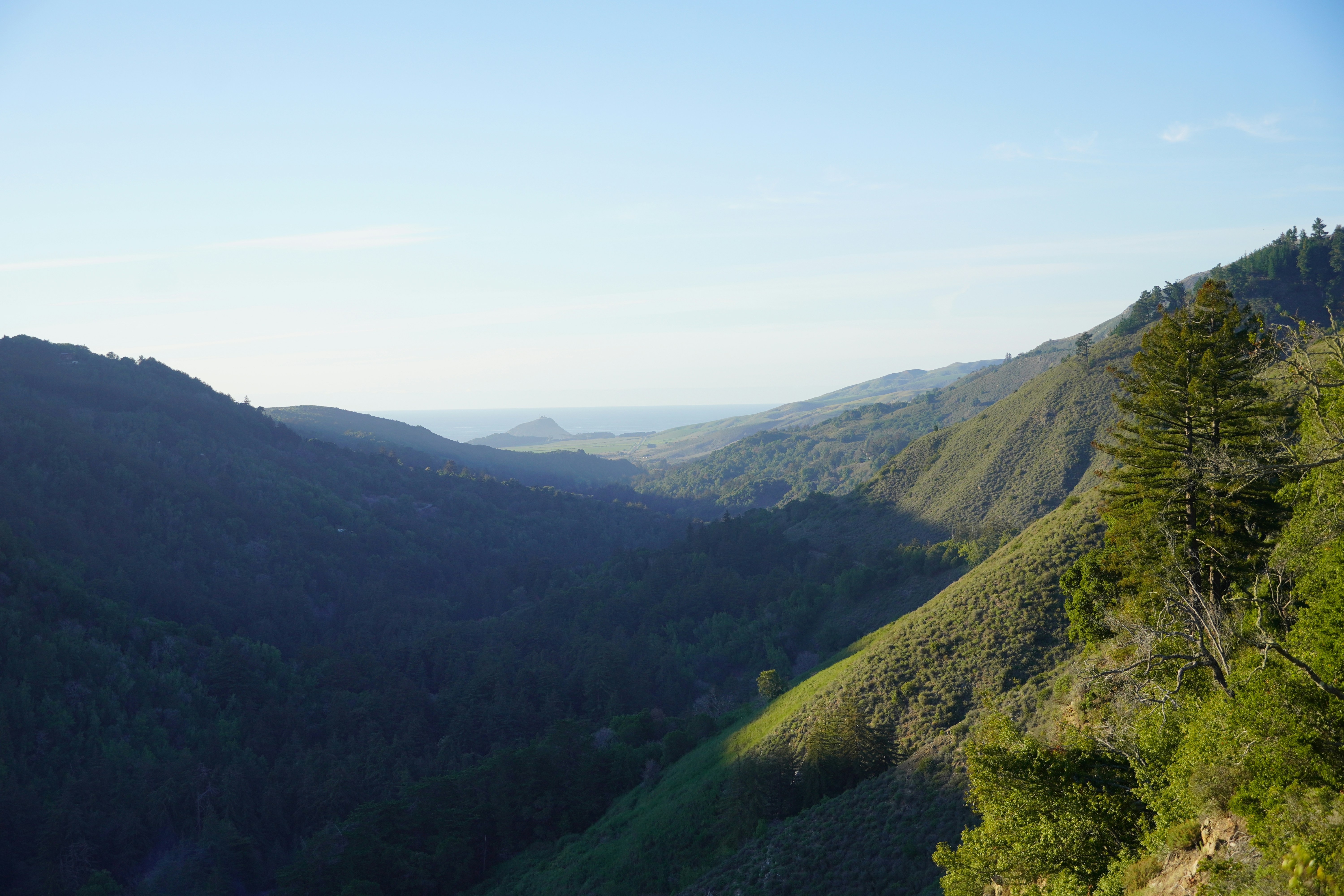 Photo by calecrunchy