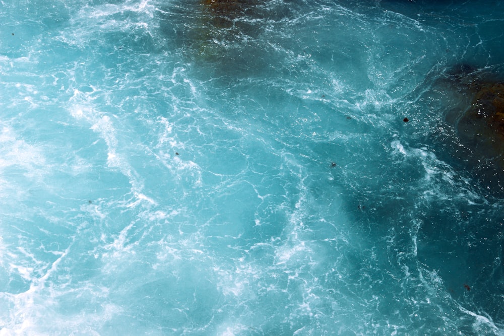 a bird flying over a body of water