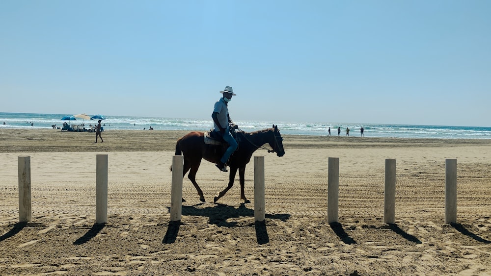 a person riding a horse on a beach