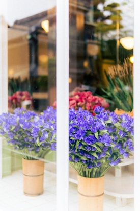 A display of vibrant purple flowers arranged in wooden pots, located inside what appears to be a storefront or a gallery. The reflection of the exterior and soft lighting creates a calming and aesthetically pleasing ambience. Behind the purple flowers, there are additional floral arrangements with red and pink hues.