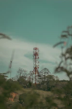 a very tall tower sitting in the middle of a forest