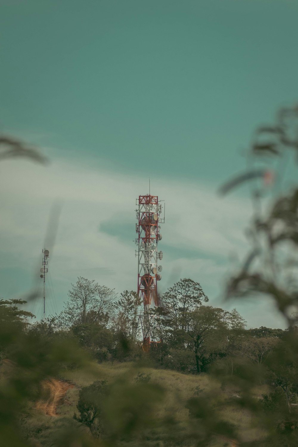 a very tall tower sitting in the middle of a forest