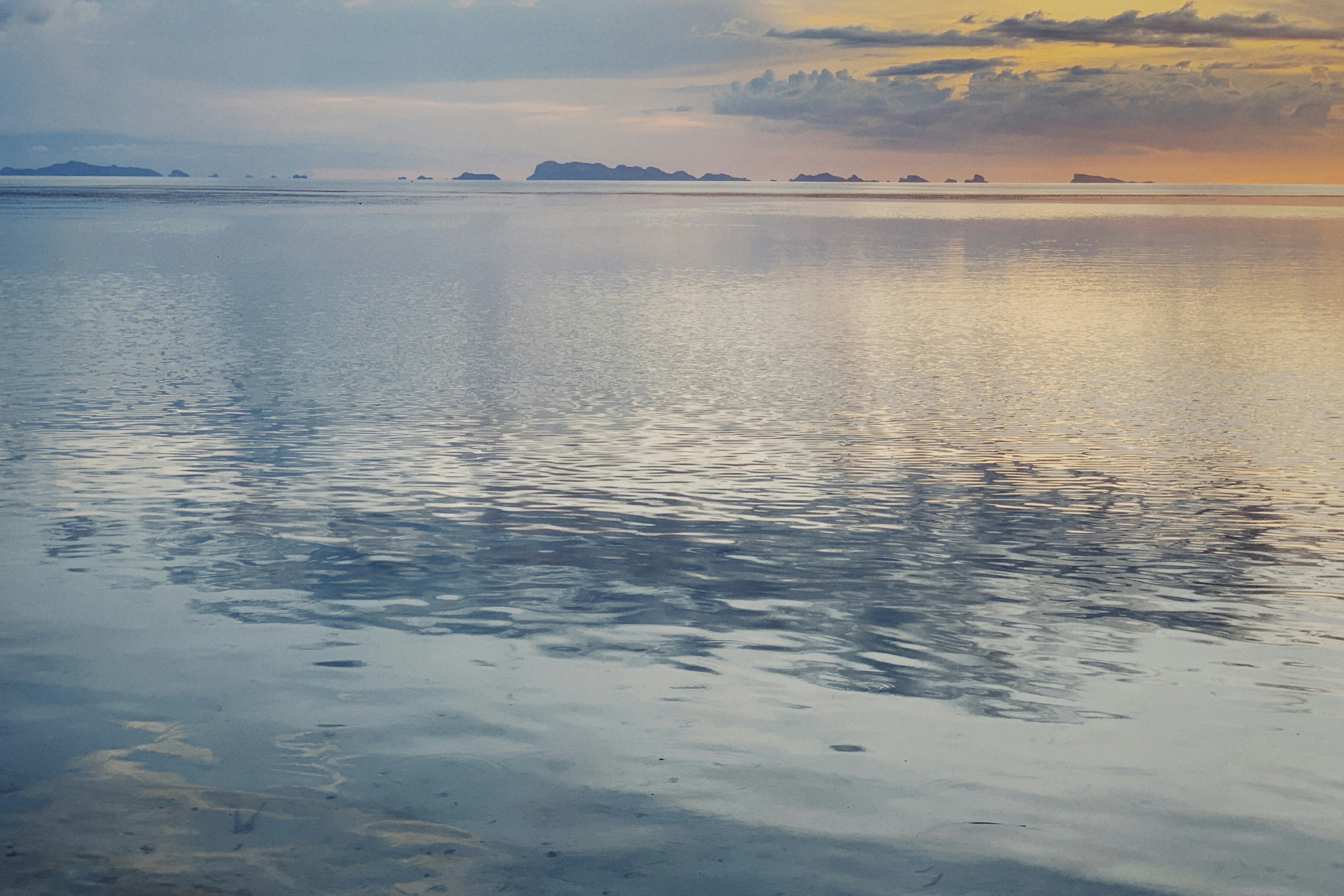 Photo by alexeydemidov