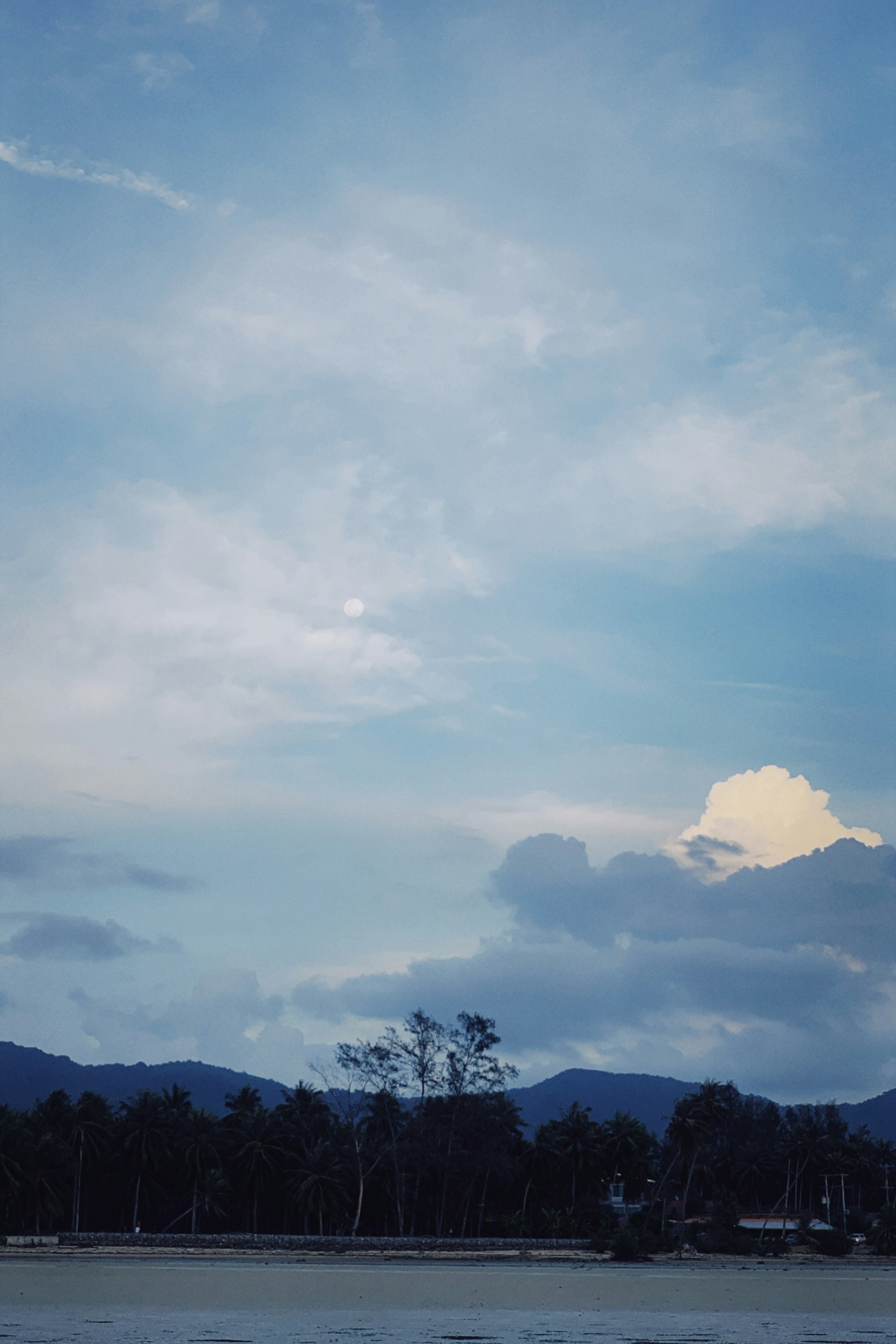 Photo by alexeydemidov