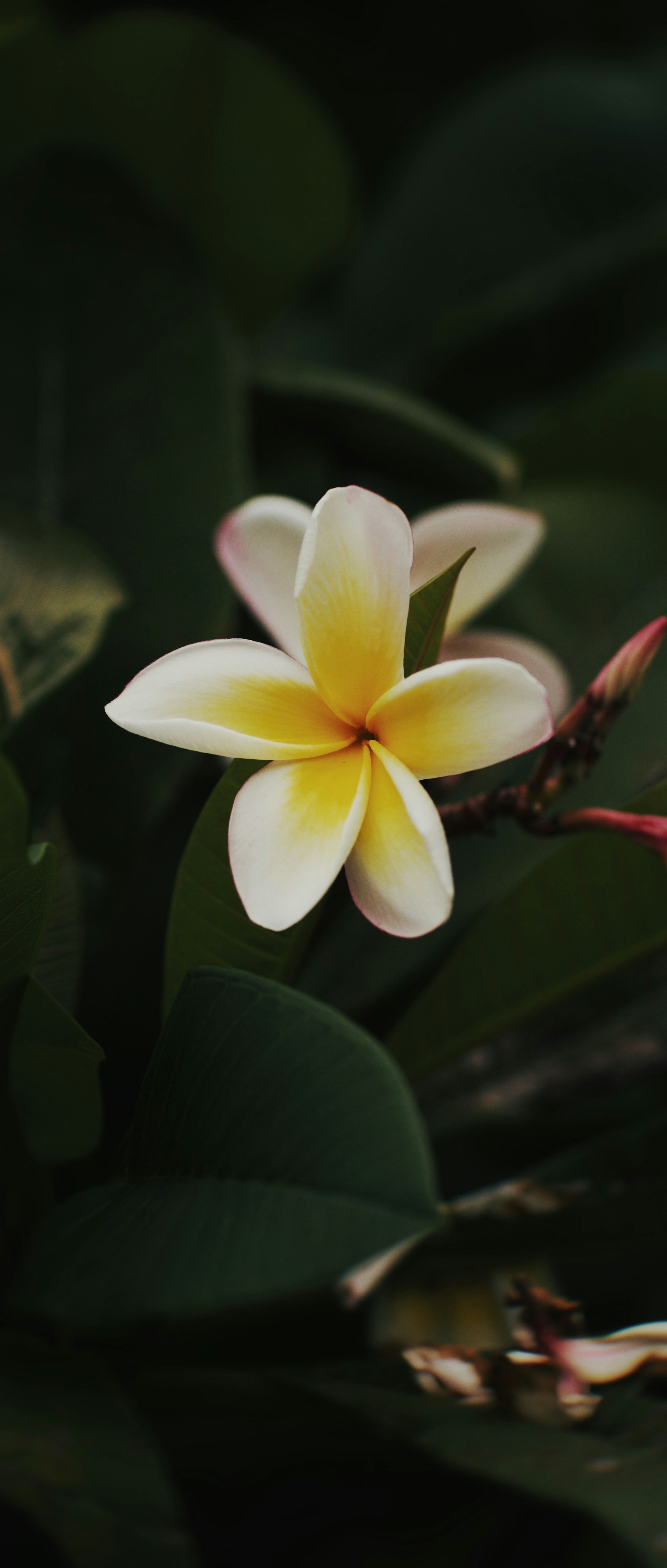 Photo by alexeydemidov