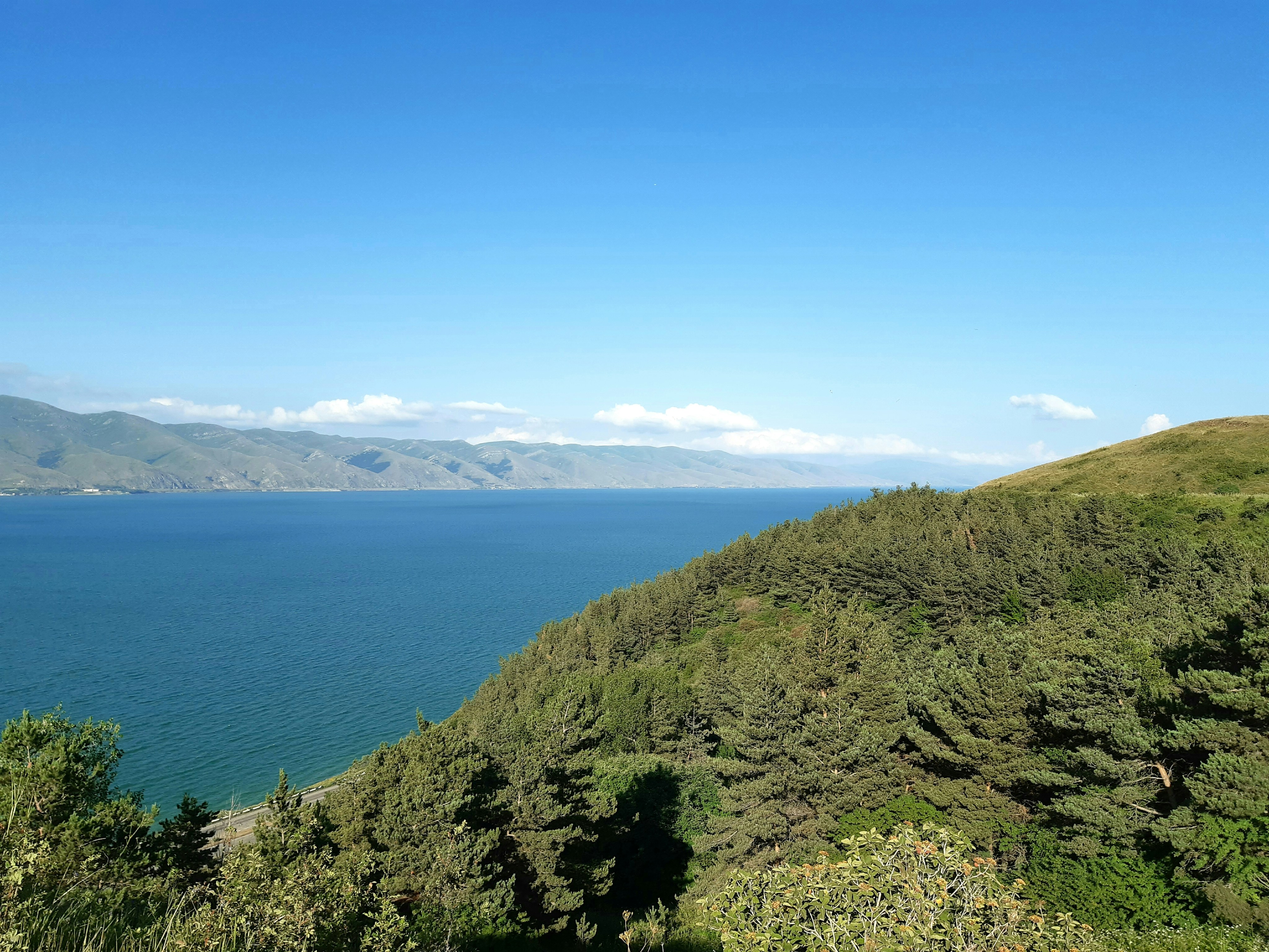 Photo by gourgenkarapetyan