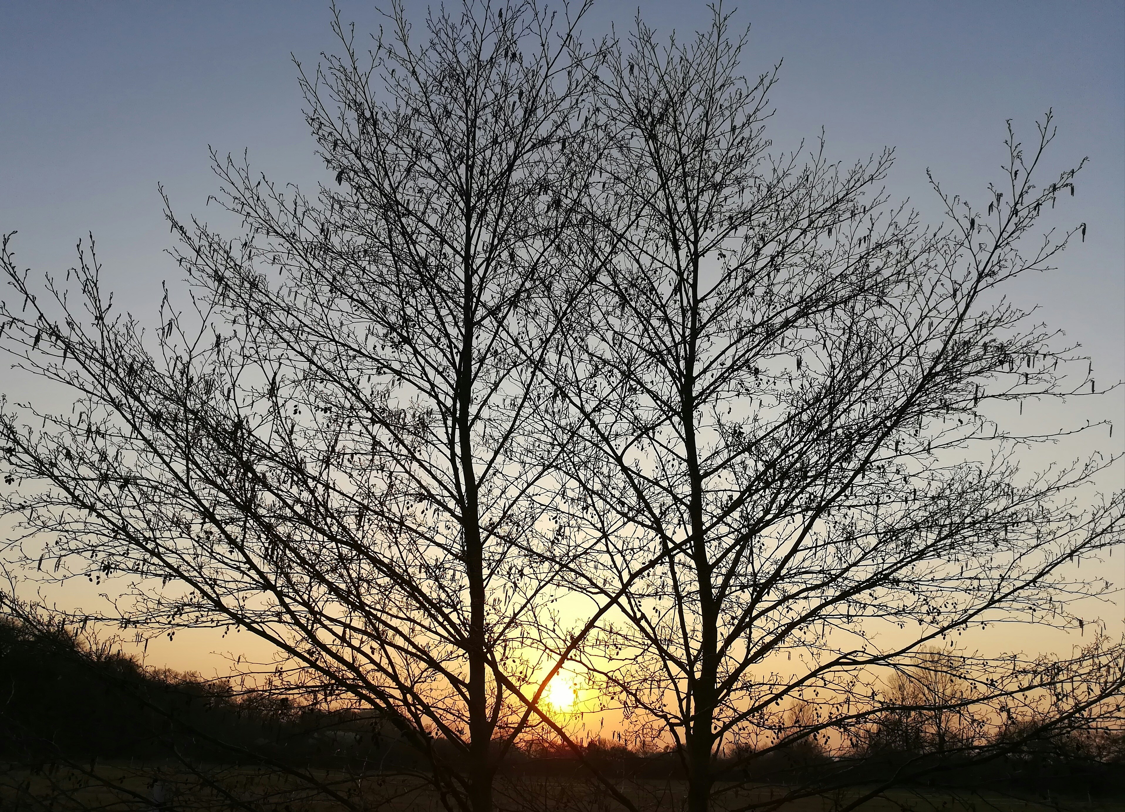 Photo by schreibmich