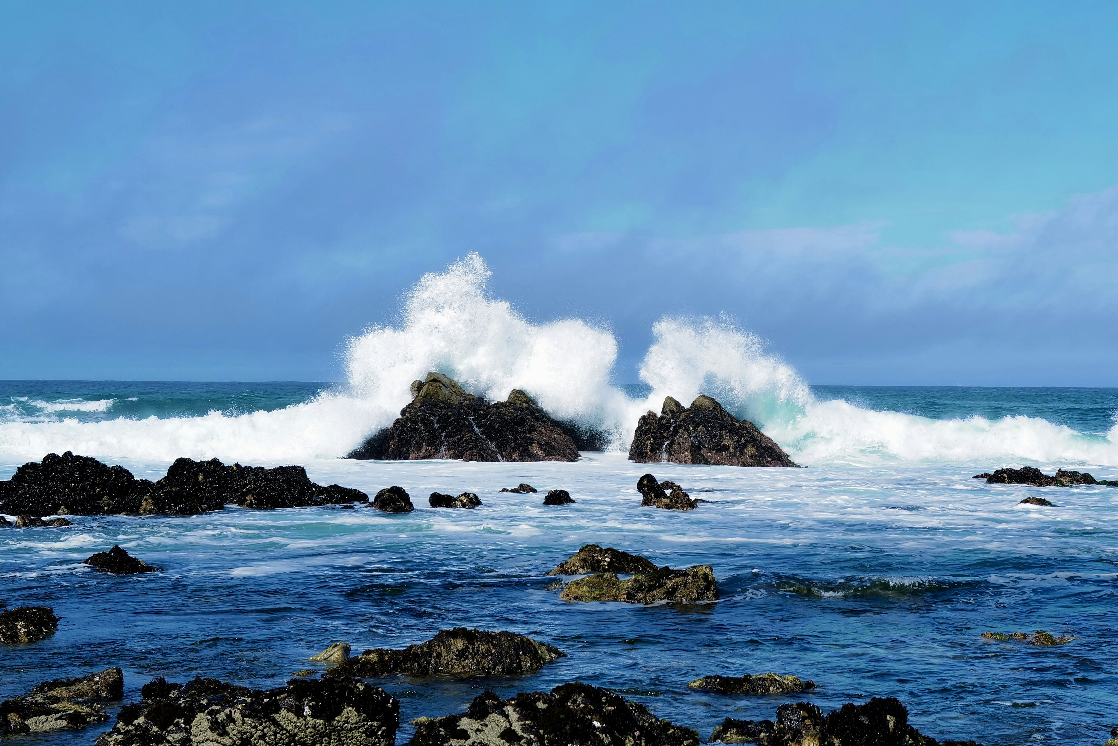 Photo by mostlycogent