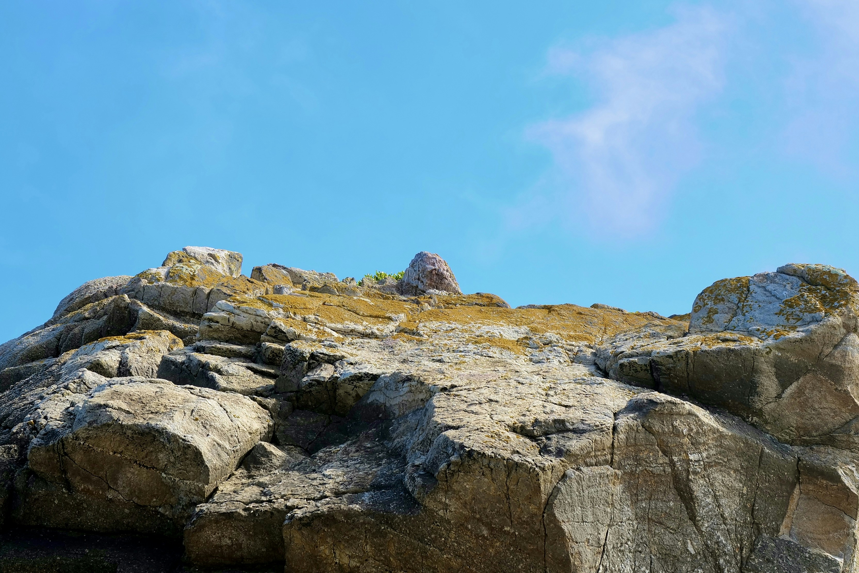 Photo by mostlycogent